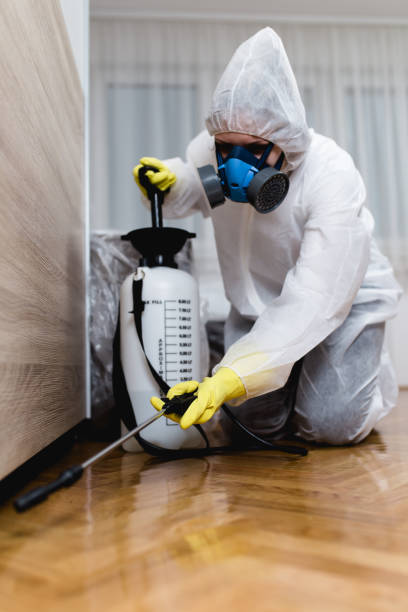 Best Pest Prevention Services  in Hapeville, GA